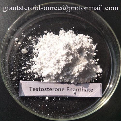 Testosterone Propionate
