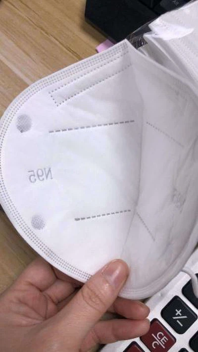 N95 Masks