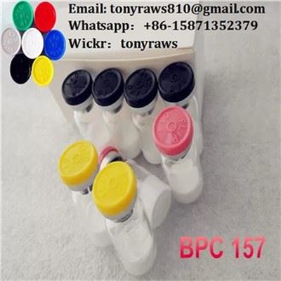 CAS 137525-51-0 Muscle Building Peptides Bpc157 Body Protection Compound-157 / BPC 157