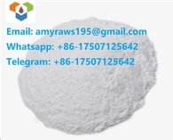 99% Purity Sarms Powder Sr9009 For Bodybuilding CAS: 1379686-30-2