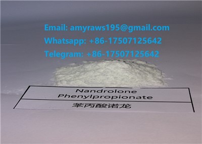 Raw Nandrolone Phenylpropionate