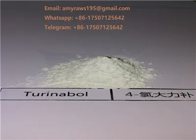 Turinabol CAS 855-19-6 Raw Testosterone Powder 4 - Chlorotestosterone Acetate