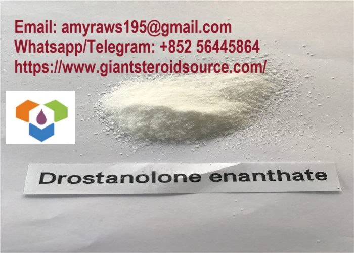 99% Building White Crystalline Powder Anabolic Steroids Drostanolone Enanthate CAS 472-61-145