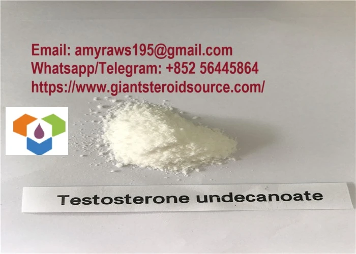 99% Purity Bulking Cycle Steroids Testosterone Undecanoate Bodybuilding Powder
