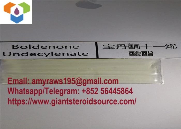 CAS 13103-34-9 Injectable Anabolic Steroids Hormones Boldenone Undecylenate Powder
