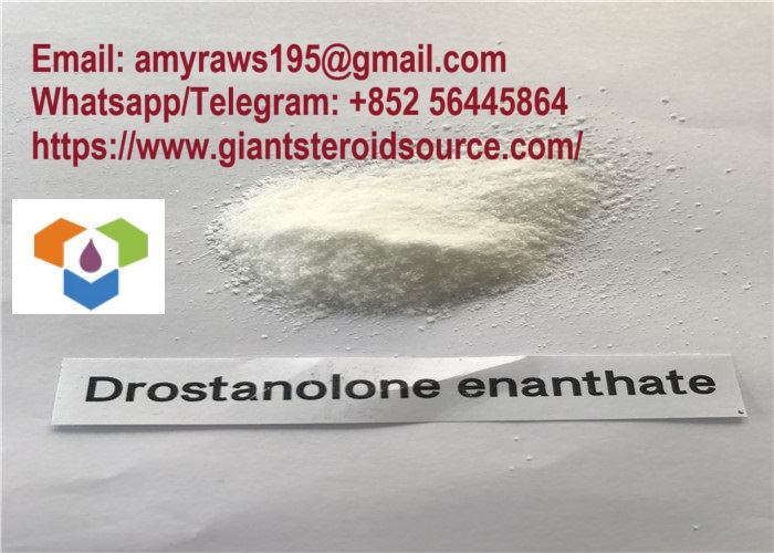 Drostanolone Enanthate Powder Masteron CAS 13425-31-5