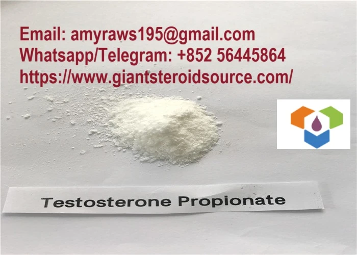 Legit Testosterone Propionate Source Steroid Raw Material CAS: 57-85-2