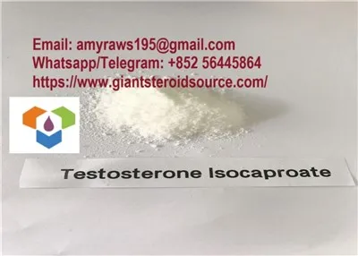 Bodybuilding Steroids Test Powder Testosterone Isocaproate For Men CAS 15262-86-9