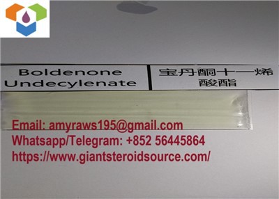 Boldenone Undecylenate