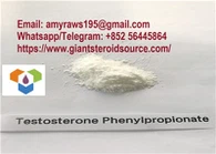 High Purity Testosterone Phenylpropionate Testosterone Raw Steroid Powder CAS 1255-49-8 China Suppliers