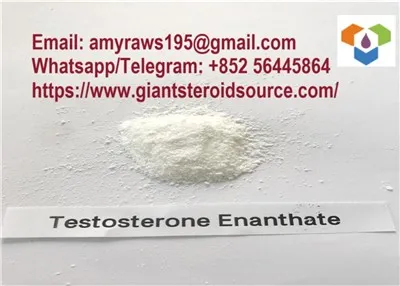 High Quality White Testosterone Enanthate Raw Powder For Burning Fat / Gaining Strength