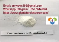 Testosterone Propionate Powder With High Quality CAS 57-85-2