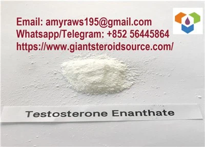 White Powder Testosterone Enanthate CAS: 315-37-7 For Building Muscle, Burning Fat And Gaining Strength