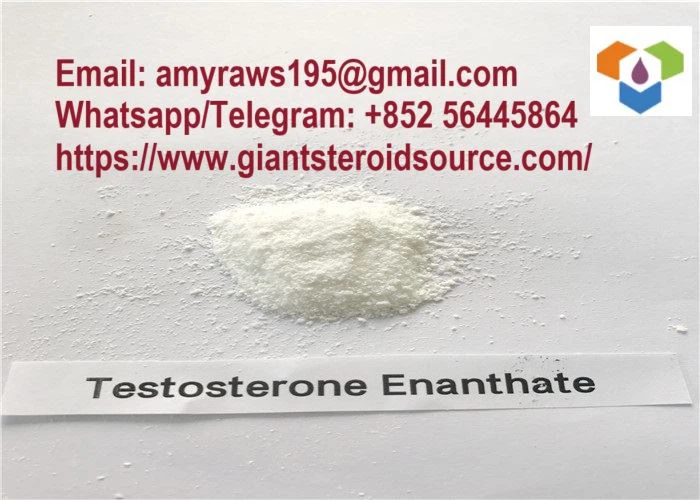 Top Quality White Powder Testosterone Enanthate Raw Powder CAS 315-37-7