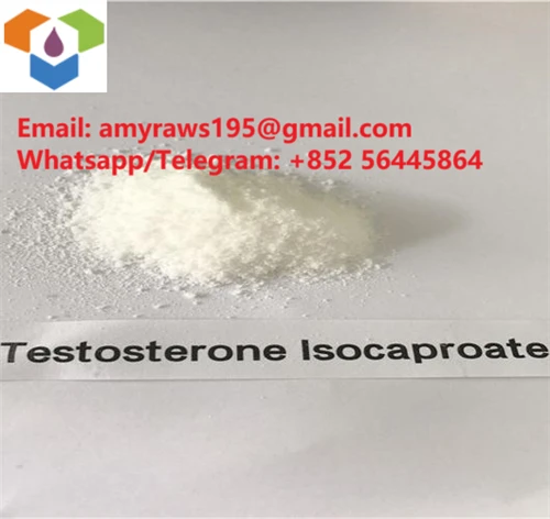 What are the common uses of Testosterone Isocaproate?