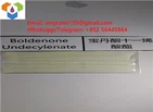 Can Boldenone Be Detected in Drug Tests?