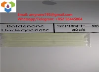 Does Boldenone Undecylenate Lower Estrogen?