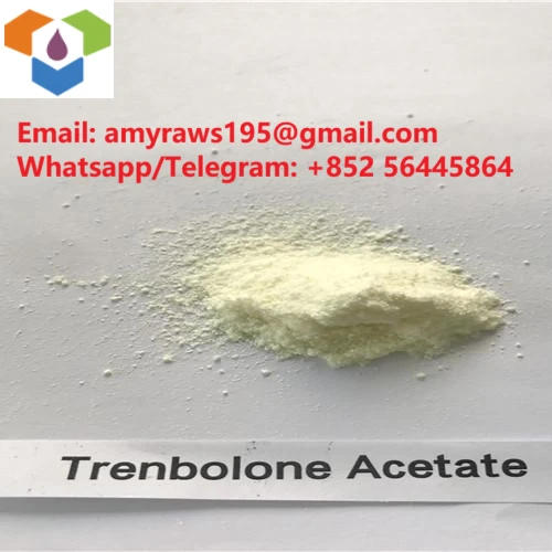 Why Is Trenbolone Acetate Popular?