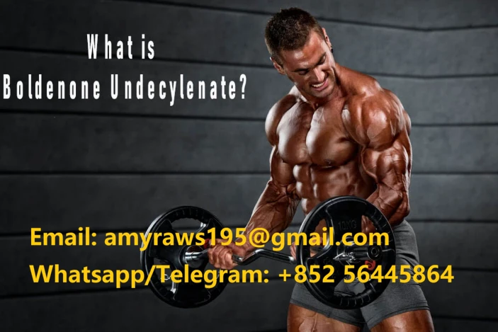 product-703-469 product-703-469