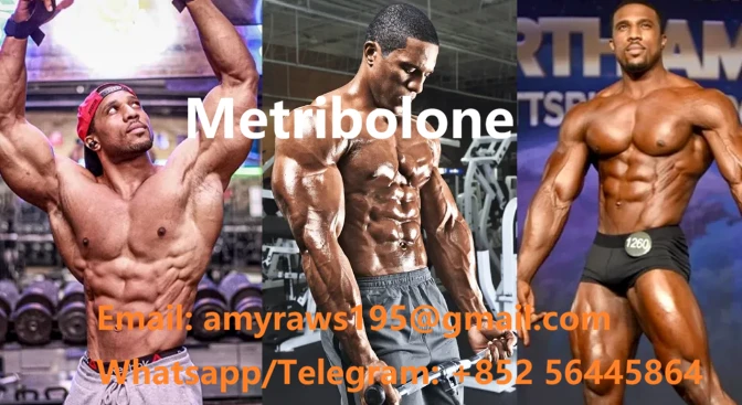 product-672-367