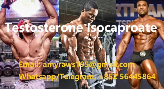 product-659-360 product-659-360