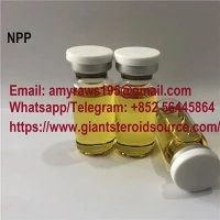 NPP/Nandrolone Phenylpropionate High Quality CAS:62-90-8