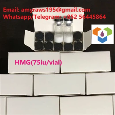 Peptides HMG 75iu/vial