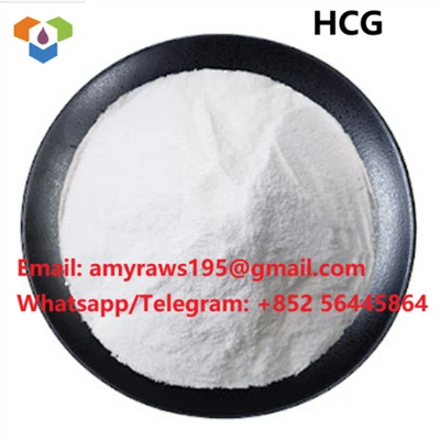 Peptides Powder HCG(Human Chorionic Gonadotropin)5000iu
