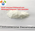 Raws Powder Testosterone Decanoate