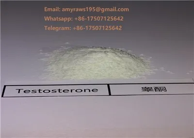 Testosterone Powder